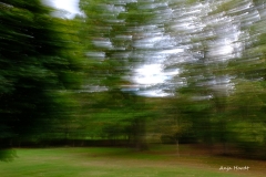 von-links-nach-rechts.