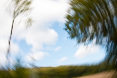 Anita-Ho-Auf-der-Wiese-2