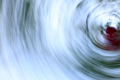 IMG_Strudel3-Luftballonim-Baum