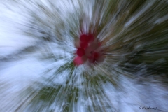 IMG_Zoom4-Luftballons