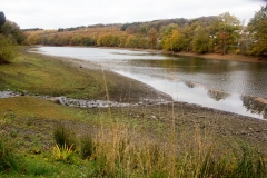 Herbst-6