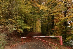 Schranke