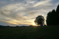 SK-Landschaft