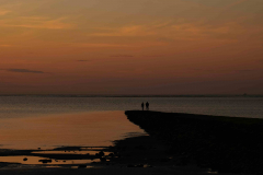 baltrum_anihcp