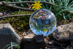 Die-Welt-ist-rund