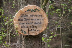 GG-zwergendorf-1