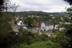 DSC2721