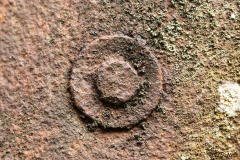 UD-Schraube