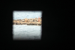 SK-IMG_0839