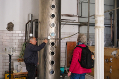 HR-PA166683
