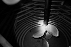 SK-IMG_7179-2