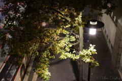 UD-Lampe