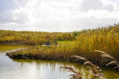 AHo-Am-Bodden-Anita-Holtappels