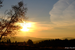 Anja-Gegenlicht-4