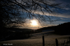 Anja-Gegenlicht-6