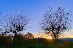 SU Friedhof Odw Weitwinkel Vordergrund