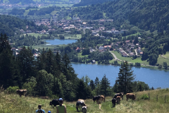 AHAU-Allgaeu_anitahaucap