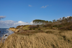 AHo-Blick-auf-das-Steilufer-in-Wustrow