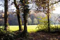 AHo-Durchblick