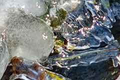 Eis-1