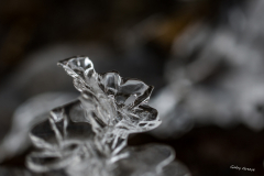 GG-Frost-2
