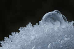 GG-Frost-3