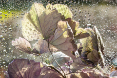 Sonnenlicht