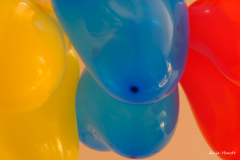 4..-gelb-blau-rot-Anja