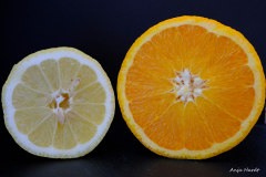 Anja-Zitrone-u-Orange