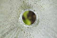 DSC3128