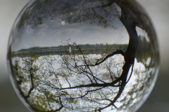 Inge_DSC3197