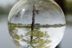 Inge_DSC3199