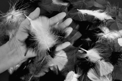 My-Story-4