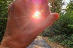 SK-Sonne-in-Hand