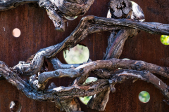big-aperture-Holz-3-vk-DSCF7467