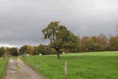 Bergischer-Himmel