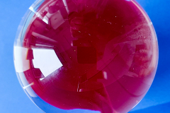 BL-20230402_102832