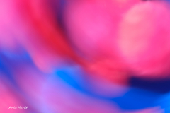 rot-blau.-2-Anja