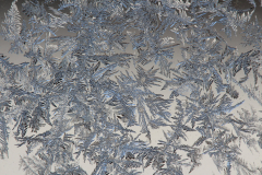 UD_Eisblumen-1