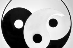 AE-Yin-Yang-Yin-vk-IMG_2956