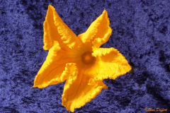 Oben