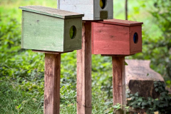 A-HolzBoxen-ahaucap