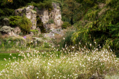 PA075811-Flora