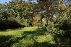 UD-Wald