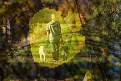 A2-Spaziergang-Anita-Holtappels
