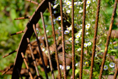1_Rost-2