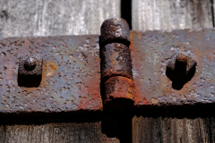 Rost-1