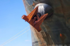 Rost-2