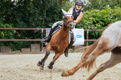 Ponyrennen