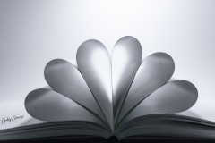 GG-Buch-mit-Herz